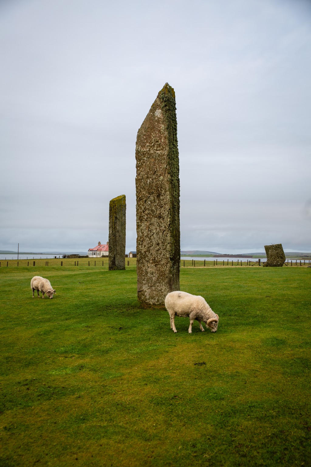 Standing Stones of Stenness